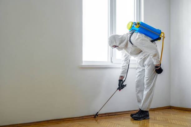 Emergency Pest Control Services in Murfreesboro, NC